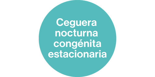 ceguera