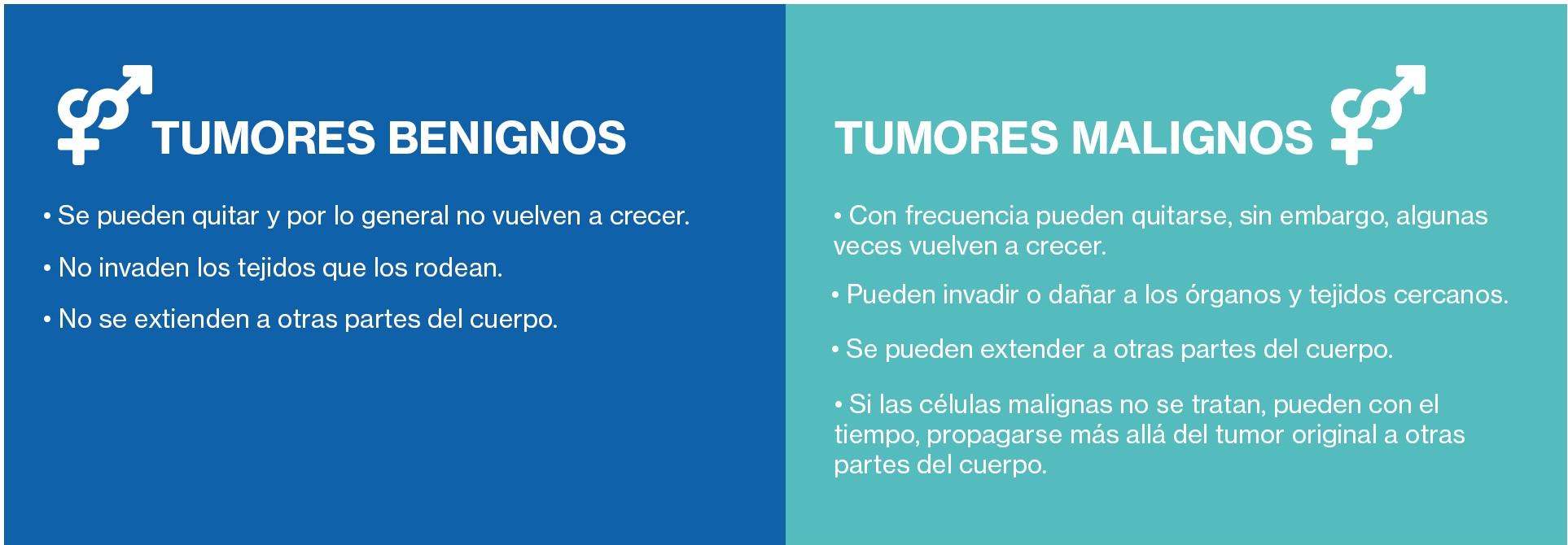 tipos