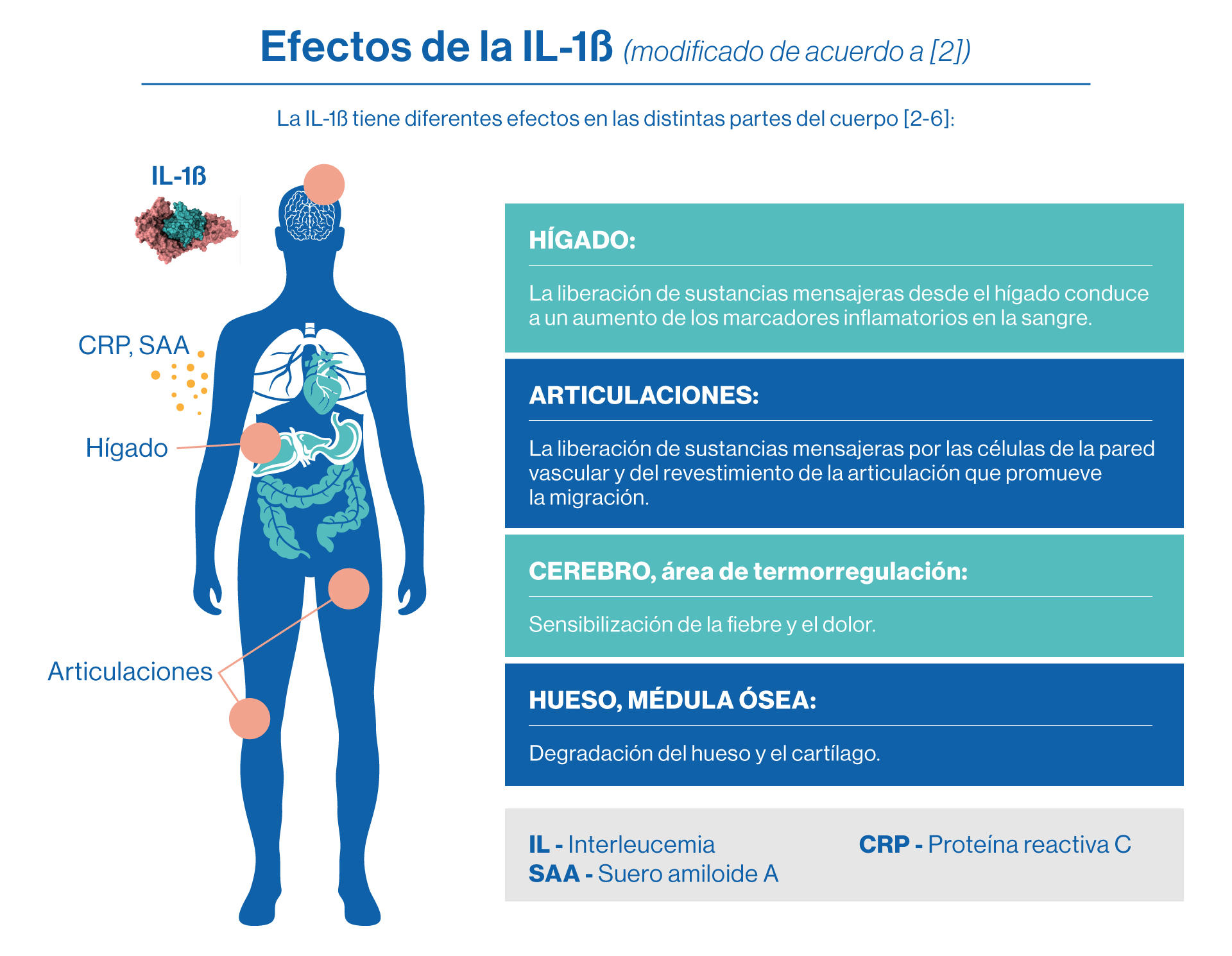 inflamatoria