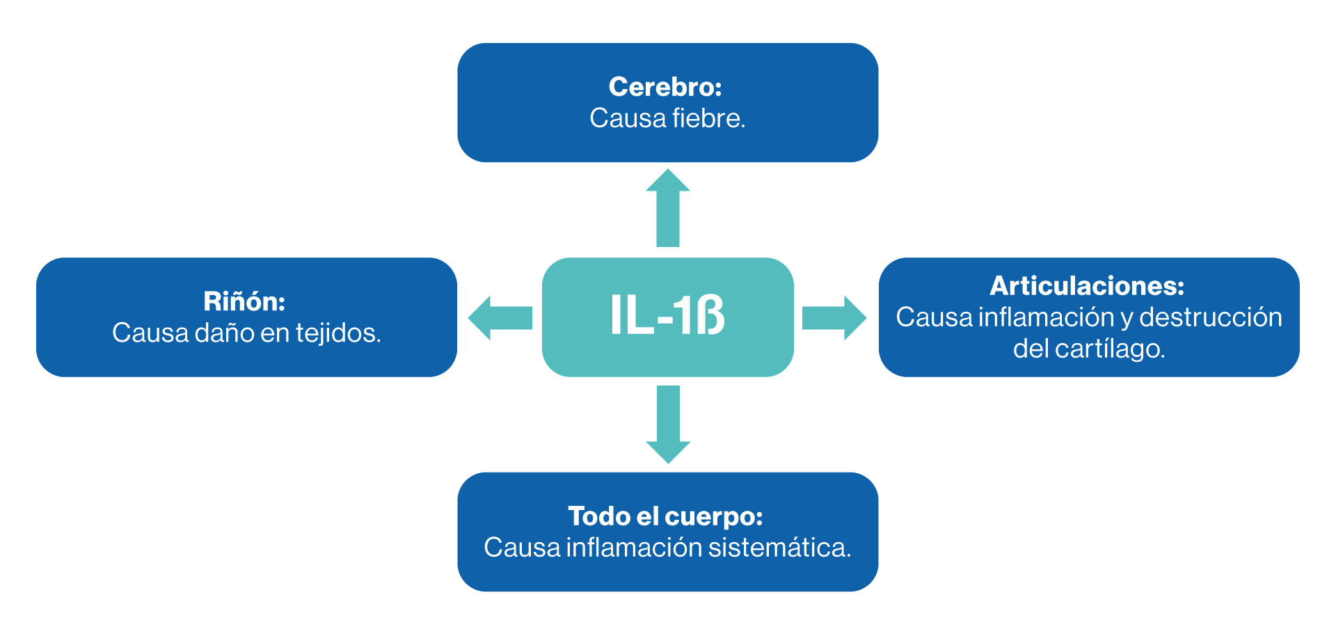 efectos