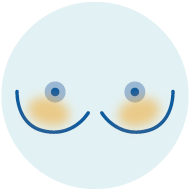 icono 12 cancer de mama sintomas